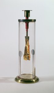 An Electroscope by English Photographer